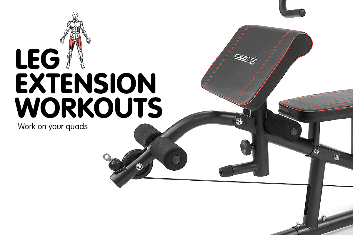 Powertrain Multi Station Home Gym Exercise Equipment Bench Press Fitness Weights 706502838126 eBay