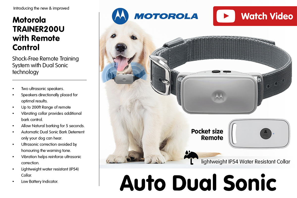 motorola dog collar